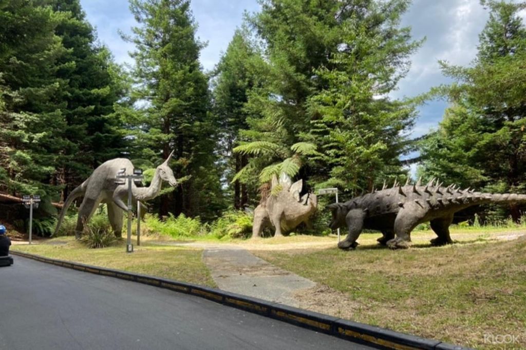 로토루아의 스카이라인 곤돌라와 루지는 지역을 탐험할 수 있는 재미있고 독특한 방법을 제공합니다.