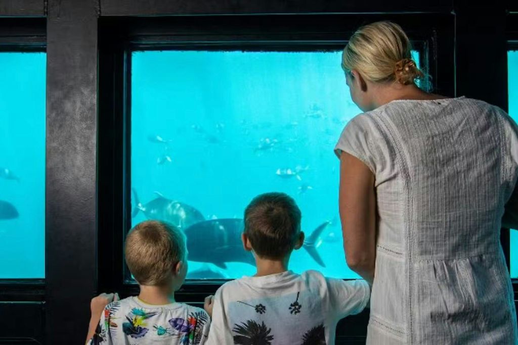알록달록한 색상의 셔츠를 입은 두 어린이가 커다란 수족관 창문 앞에 서서 푸른 물에서 헤엄치는 다양한 물고기를 바라보고 있습니다.