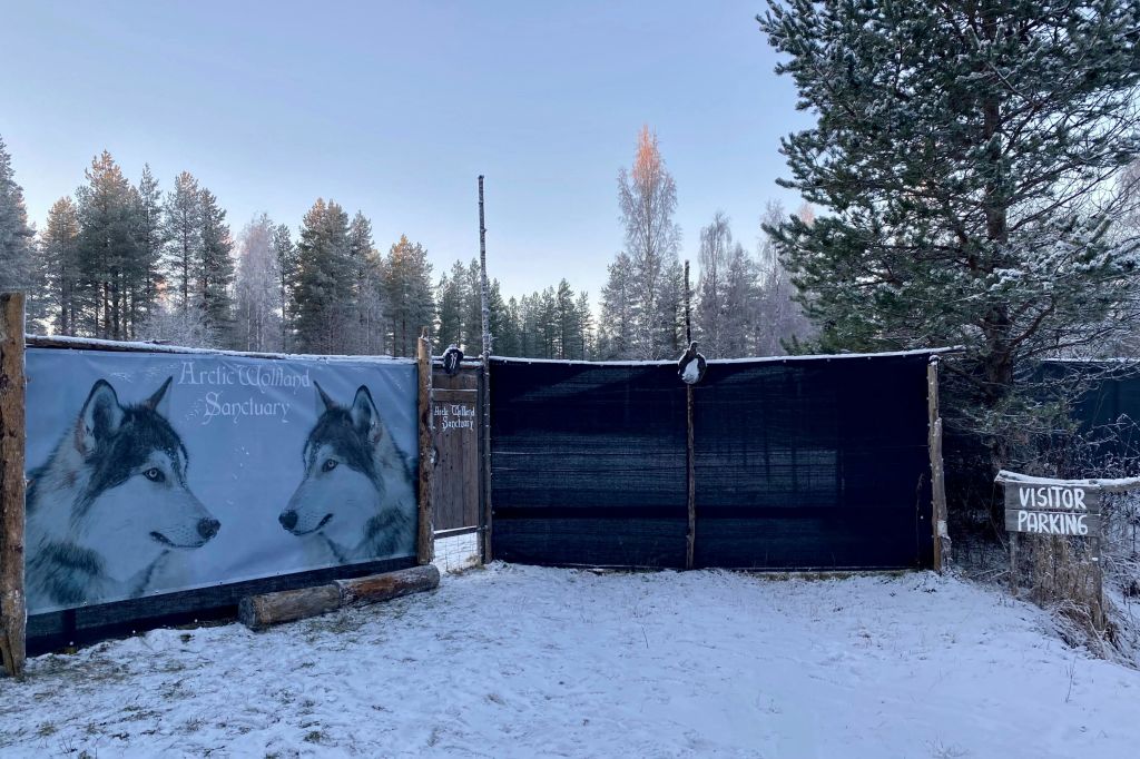 북극의 울프랜드 보호구역 방문객 주차 공간/집합 장소