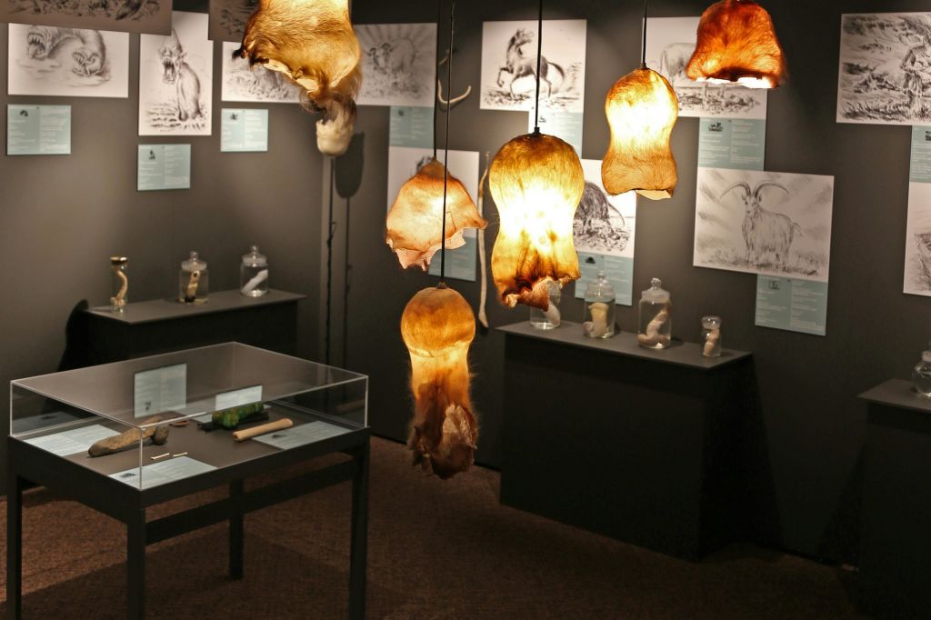 아이슬란드 문명학 박물관