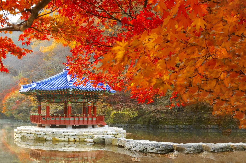 [From Seoul] Naejangsan National Park Autumn Foliage Day Tour