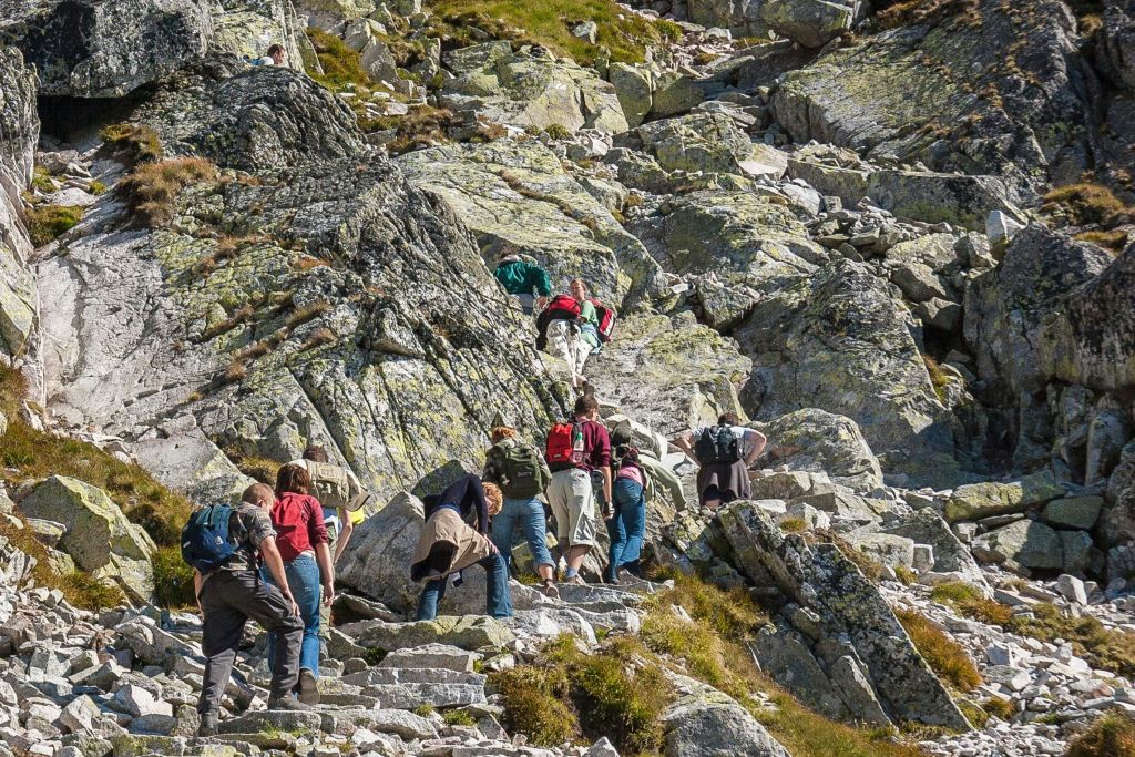 암벽 등반 체험 (프라이빗)