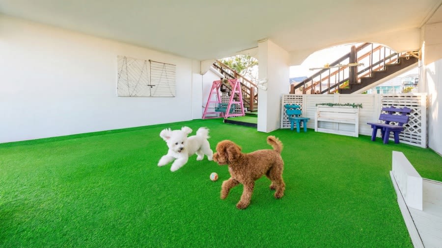 태안 황도일마레펜션