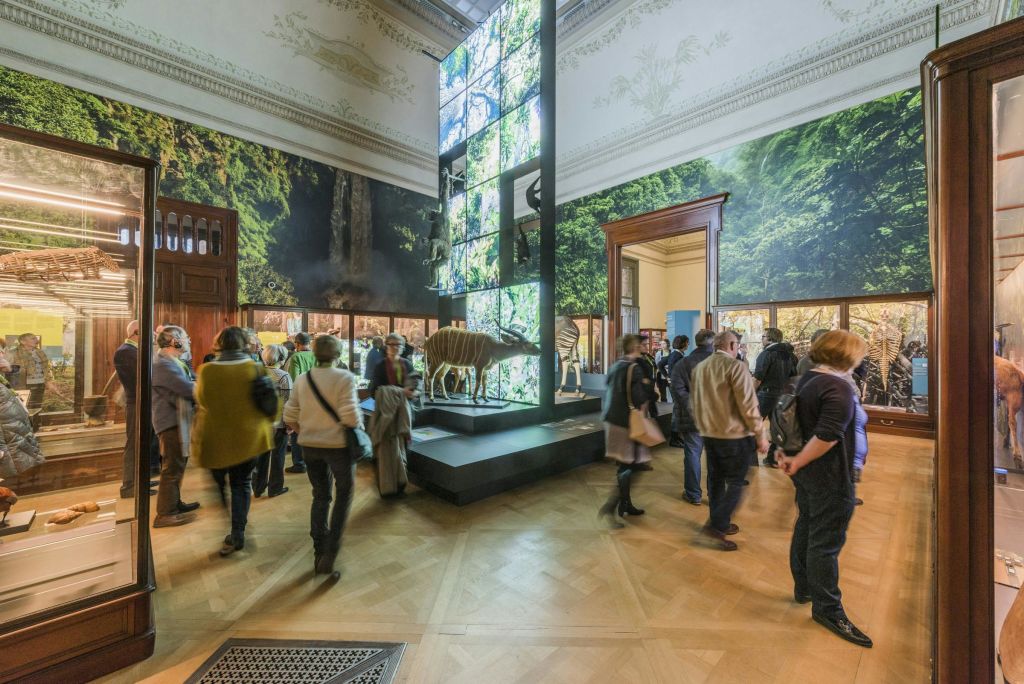 자연을 주제로 한 전시물과 숲의 이미지를 보여주는 높고 밝은 스크린이 있는 박물관 방에서 사람들이 전시물을 둘러보고 있습니다.