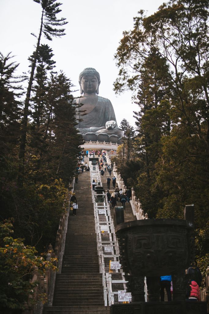 나무로 둘러싸인 커다란 불상을 향해 계단을 오르는 사람들.