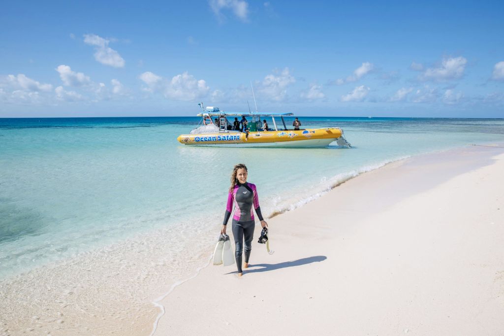 거북이 트립퍼 어드벤처