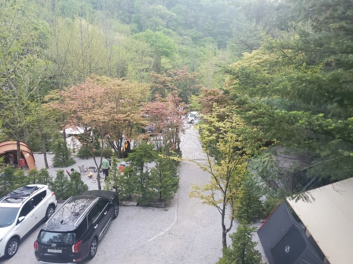 아버지의 숲 산정 캠프