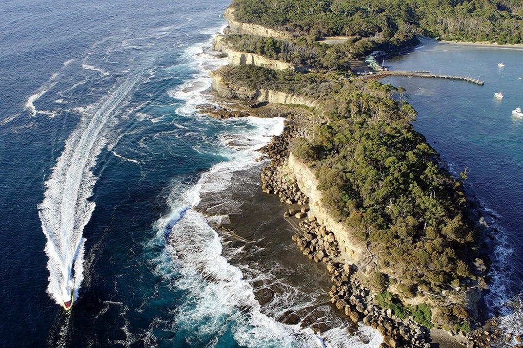 바위 절벽, 부서지는 파도, 맑은 하늘 아래 푸른 초목이 우거진 험준한 해안선의 공중 전망.