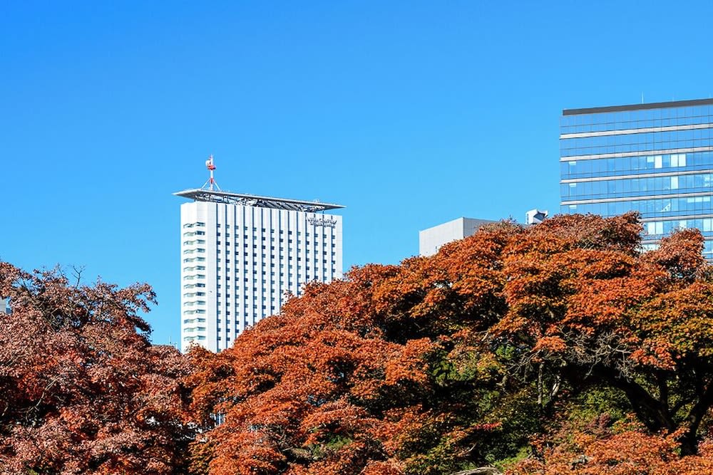 센추리 서던 타워 호텔