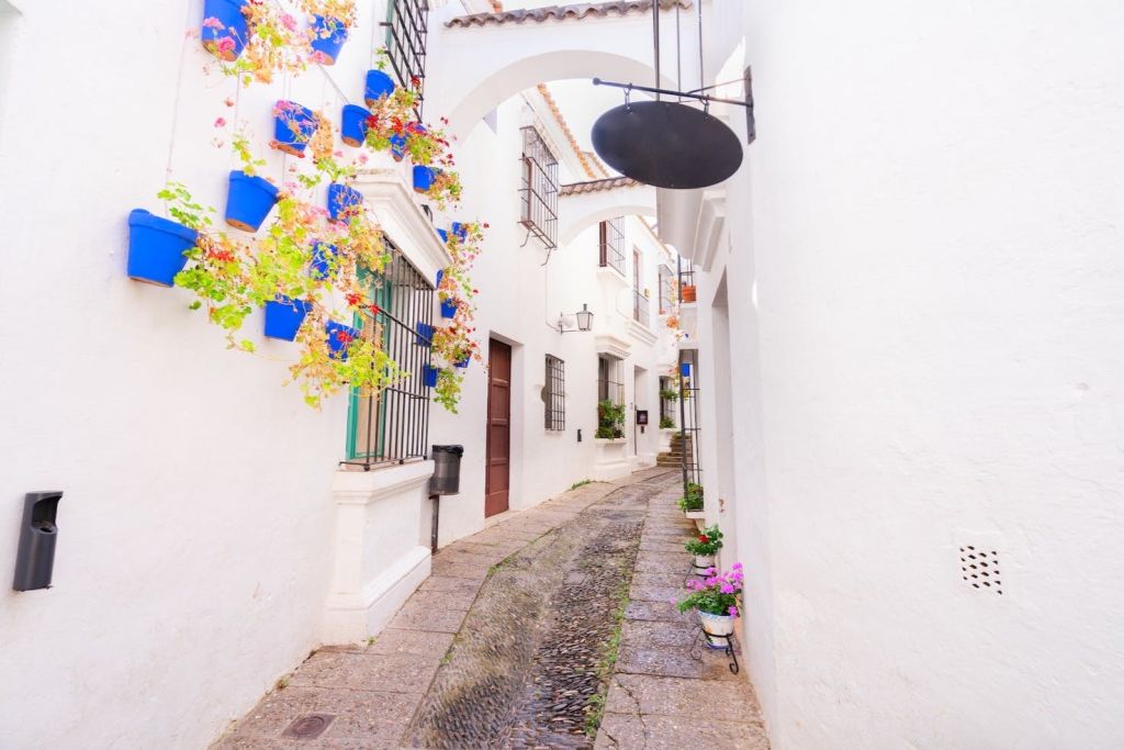 아르코스 스트리트