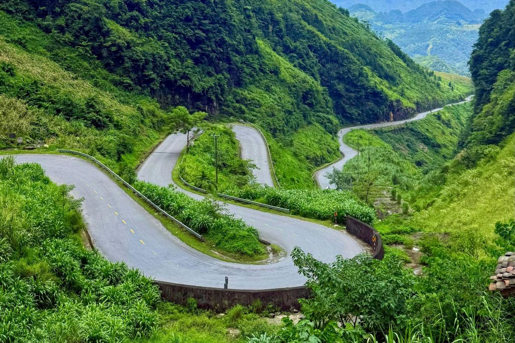 울창한 푸른 초목과 나무로 둘러싸인 날카로운 굴곡이 있는 구불구불한 산길.