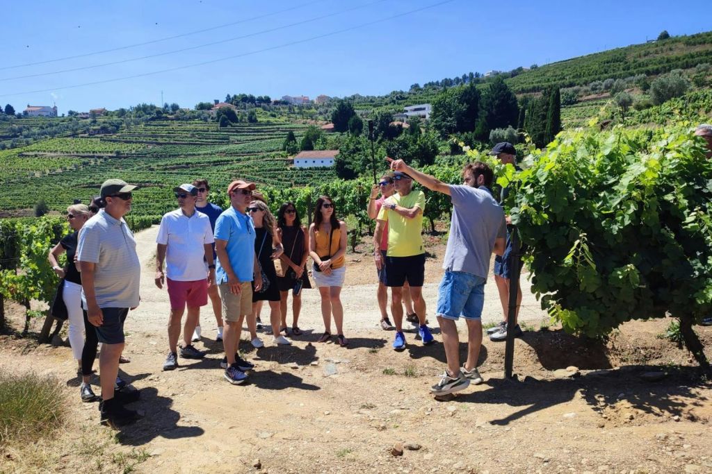 맑은 하늘 아래 계단식 언덕과 주택을 배경으로 포도원의 흙길에 서 있는 한 무리의 사람들.