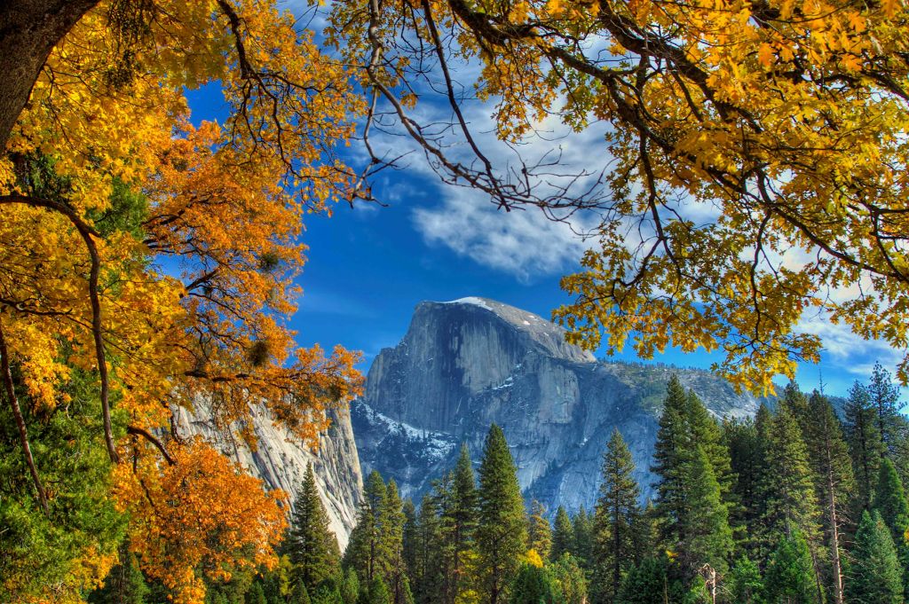 상록수로 둘러싸인 장엄한 산봉우리, 맑고 푸른 하늘 아래 나뭇가지에 밝은 단풍이 드리워져 있습니다.