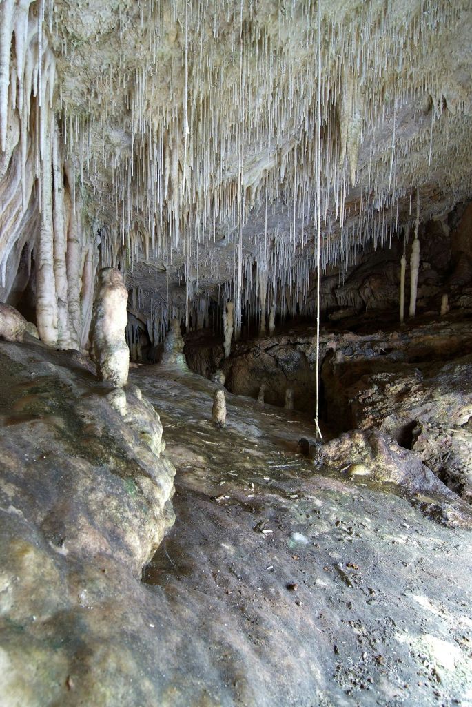 천장에 매달린 수많은 종유석과 바닥에서 솟아오른 종유석이 있는 동굴 내부.