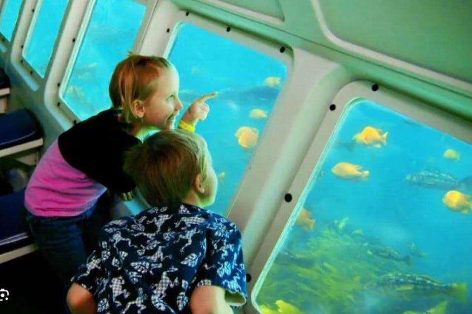 카탈리나섬 당일 여행 + 아발론의 아름다운 풍경을 만나는 드라이빙 투어