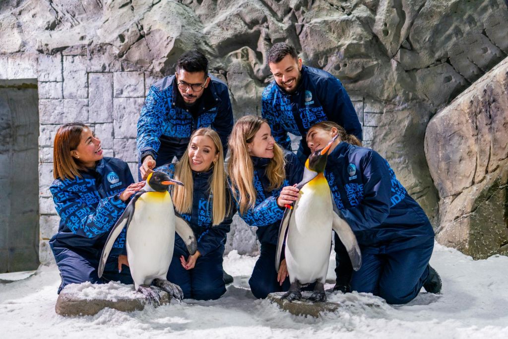 블루 재킷을 입은 5명의 사람들이 눈 덮인 바위 인클로저에서 두 마리의 펭귄과 상호 작용합니다.