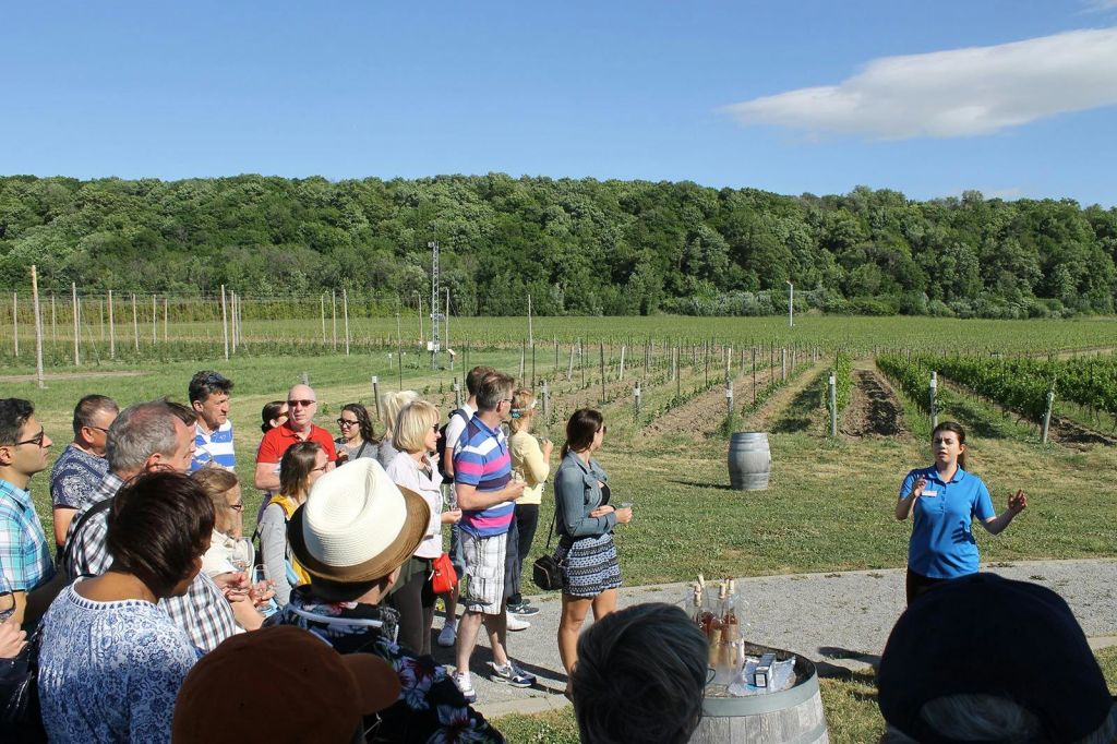 나이아가라폴스 일일 투어 (토론토 출발)