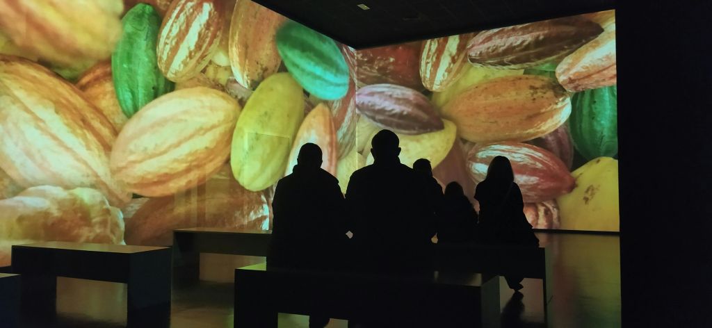 어두운 방에 앉아 형형색색의 코코아 꼬투리를 형상화한 대형 스크린을 보고 있는 사람들.