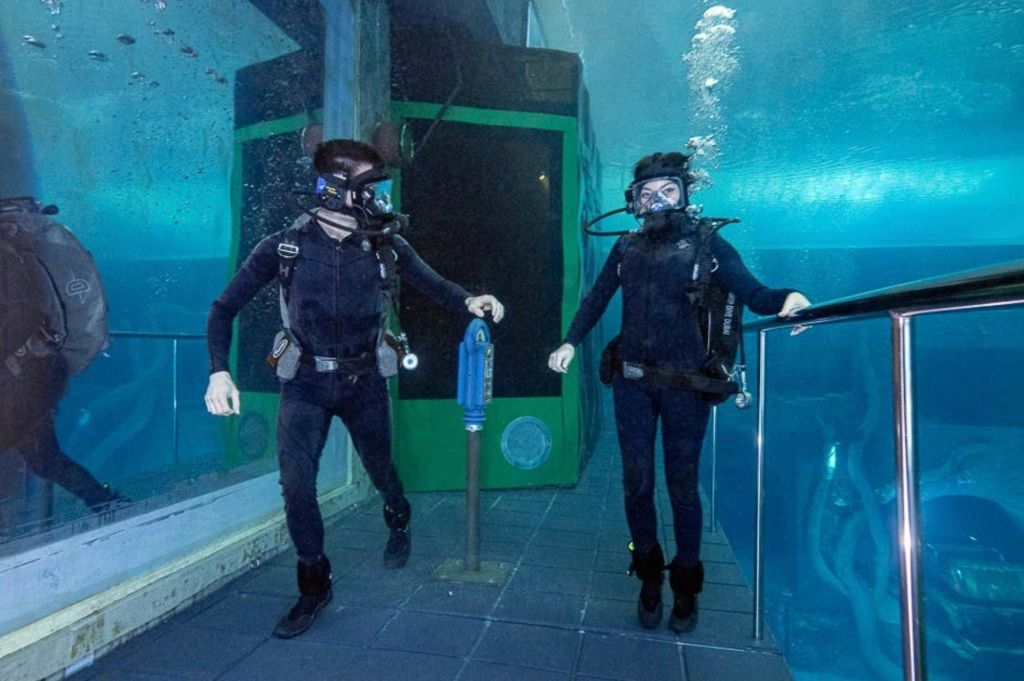 유리벽과 녹색 구조물을 배경으로 통제된 환경에서 두 명의 다이버가 물속을 걷고 있습니다.