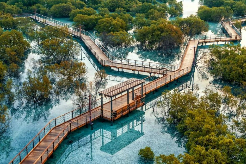 주베일 맹그로브 공원 - 보드워크 체험