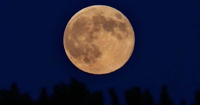 어두운 밤하늘에 주황색으로 빛나는 커다란 보름달이 아래쪽의 실루엣 나무 꼭대기에 부분적으로 가려져 있습니다.