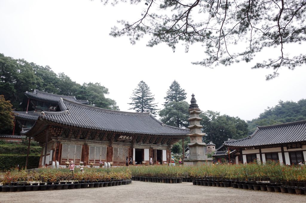 마곡사 경내