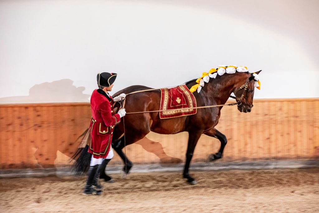 신트라 공원 - 몬테스다루아