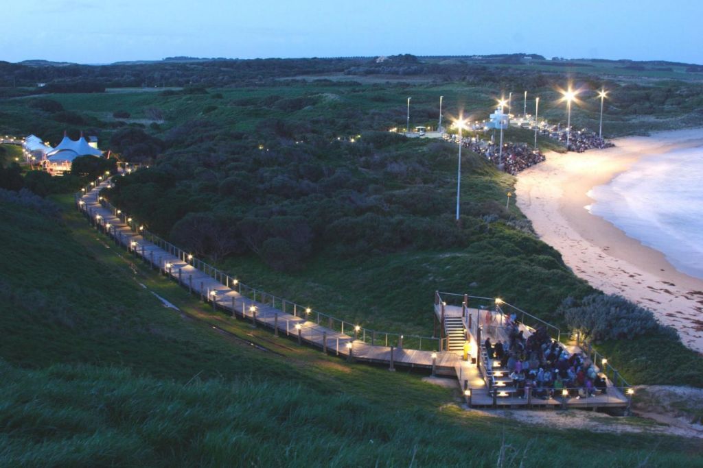 Witness the Penguin Parade on floodlit Summerland Beach from the exclusive Penguins Plus