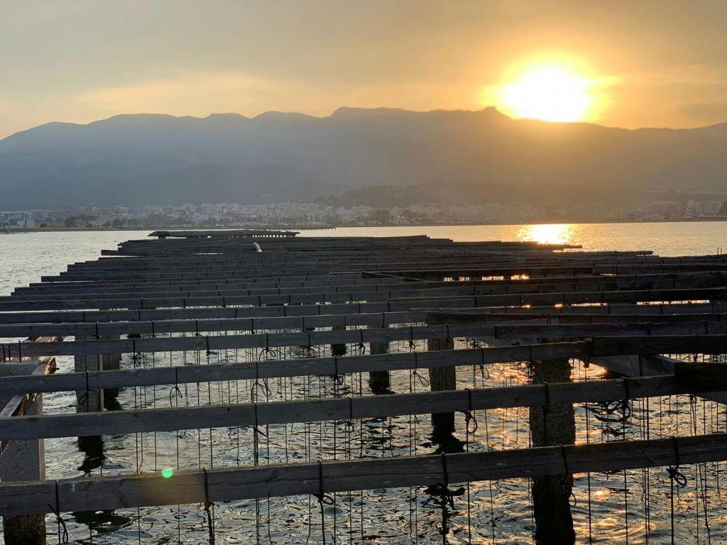 산과 먼 도시를 배경으로 커다란 물줄기에 둘러싸인 나무 위에서 석양을 즐겨보세요.