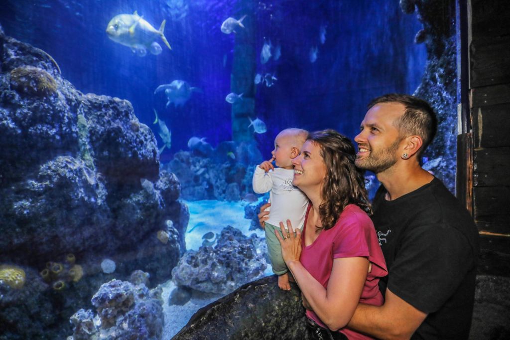 한 부부가 바위와 해초 사이에서 헤엄치는 물고기가 있는 대형 수족관을 보며 아기를 안고 있습니다.