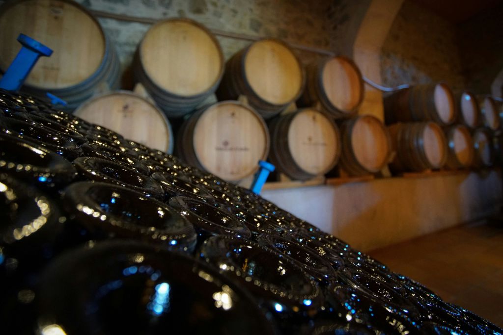 와이너리 투어를 통해 와인의 모든 것을 배워보세요!