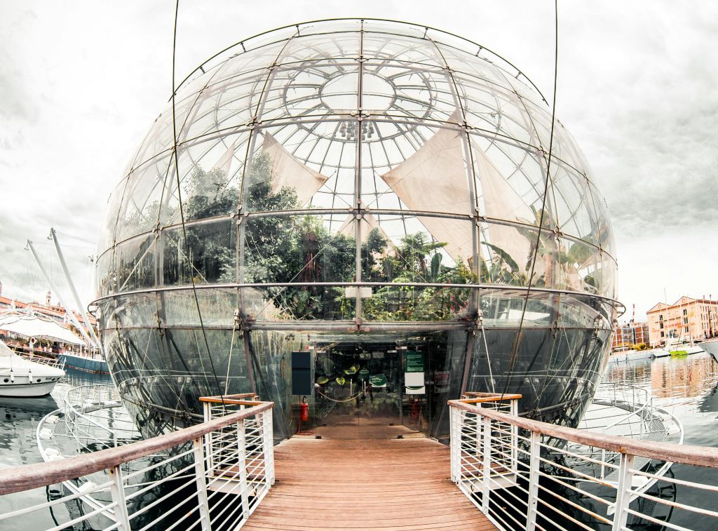 난간이 있는 목조 산책로 입구에서 바라본 내부에 식물이 있는 대형 유리 돔 구조물.