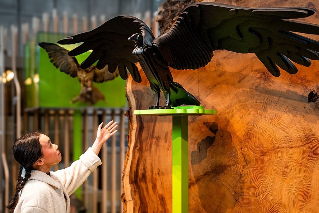 캘리포니아의 새로운 전시물인 '자연의 상태 (State of Nature)' 와 상호작용하는 방문자.