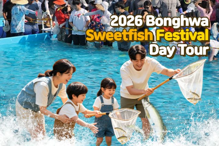 ソウル発] 2026 奉化ヤマメ祭り 日帰りツアー | NOL World