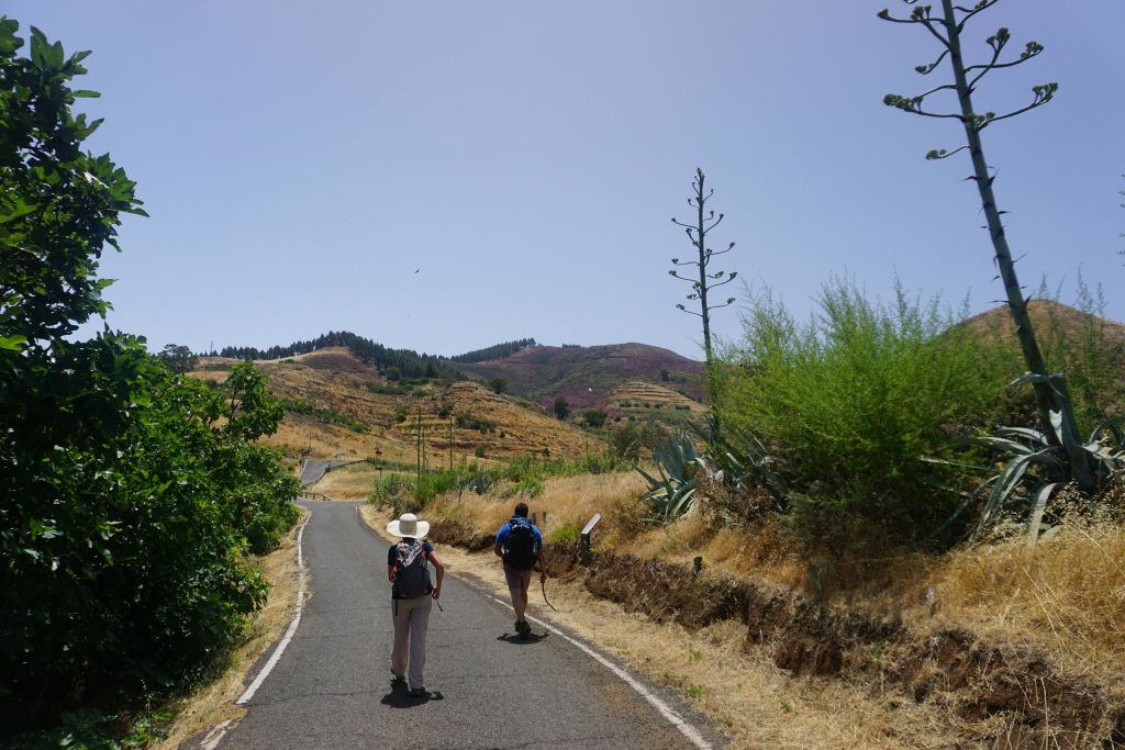 배낭을 멘 두 사람이 맑은 하늘 아래 언덕과 초목, 마른 잔디로 둘러싸인 시골길을 걷고 있습니다.