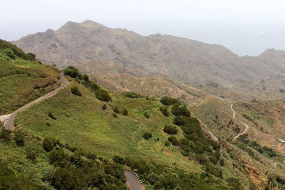 숲 EXPERIENCEANAGA 시골 공원