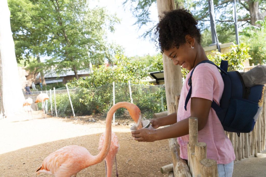 플라밍고 밍글 체험을 즐기는 게스트.