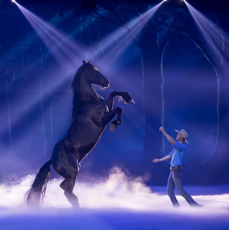 카우보이 모자와 청바지를 입은 사람이 안개가 자욱한 숲을 배경으로 무대 조명 아래에서 검은 말을 기르며 제스처를 취하고 있습니다.