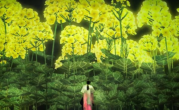사계절 동안 꽃들의 변화를 감상하고  방문객에 맞추어 변하는 모습을 살펴보세요.