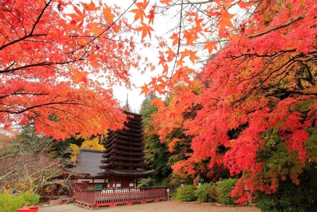선명한 붉은색과 주황색의 가을 단풍으로 둘러싸인 탑으로, 이미지 상단에 나뭇가지가 뻗어 있습니다.