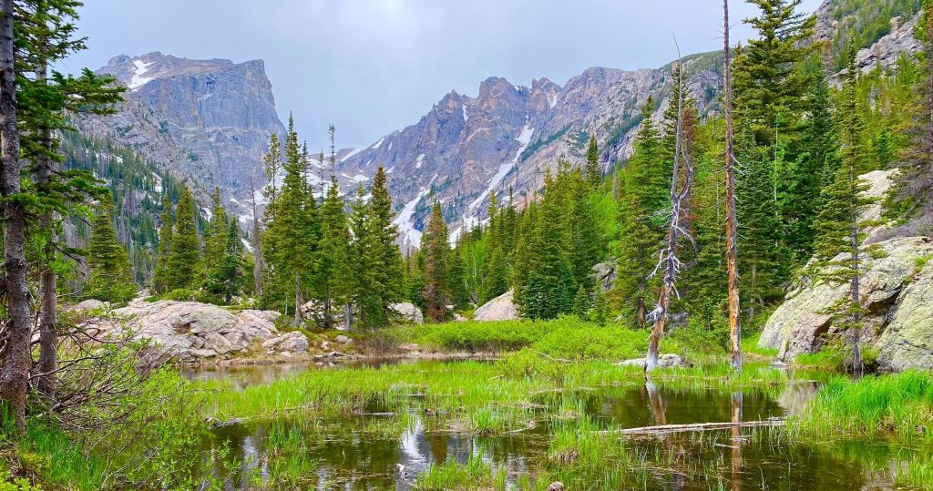 연못, 푸른 초목, 상록수, 높은 바위산을 배경으로 고요한 고산 풍경이 펼쳐집니다.