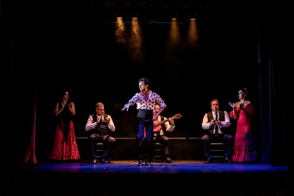 플라멩고 페인팅