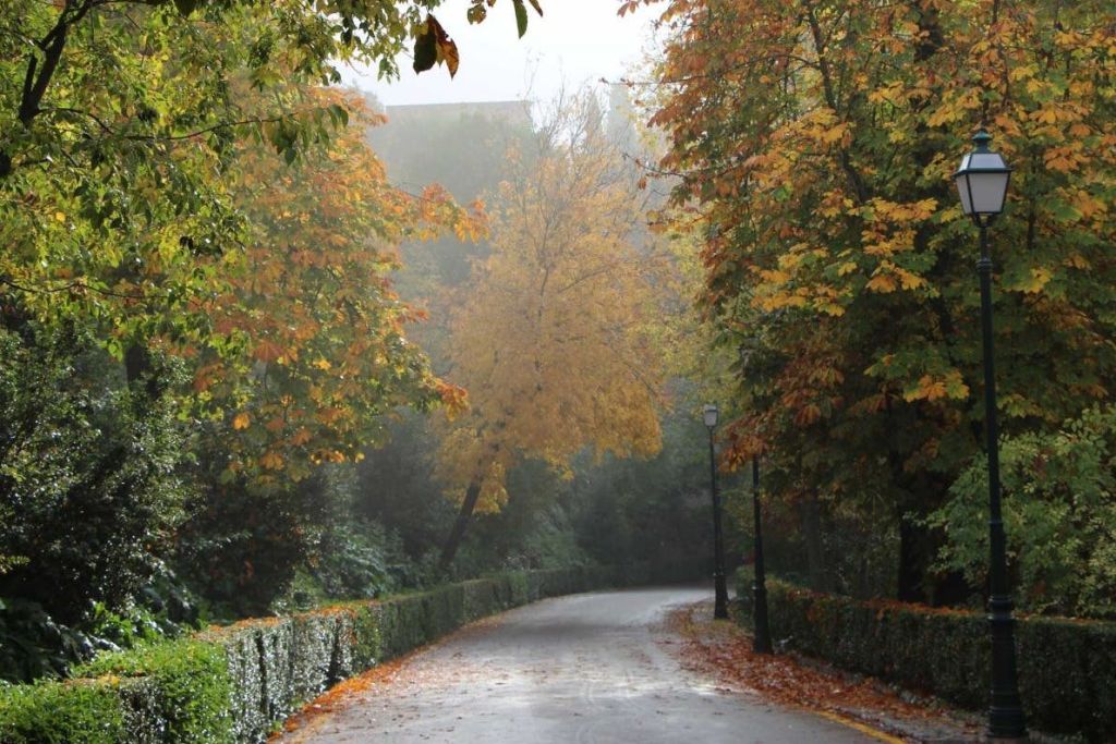 알함브라 포레스트