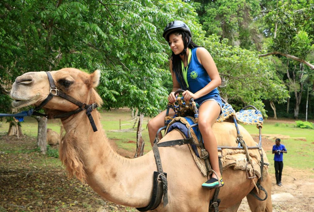 숲을 배경으로 헬멧을 쓴 사람이 낙타를 타고 지나갑니다.