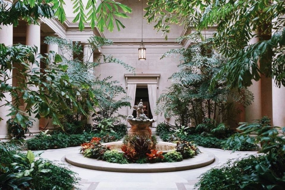 무성한 녹색 식물과 다채로운 꽃으로 둘러싸인 중앙 분수가 있는 실내 아트리움이 펜던트 조명 아래 있습니다.