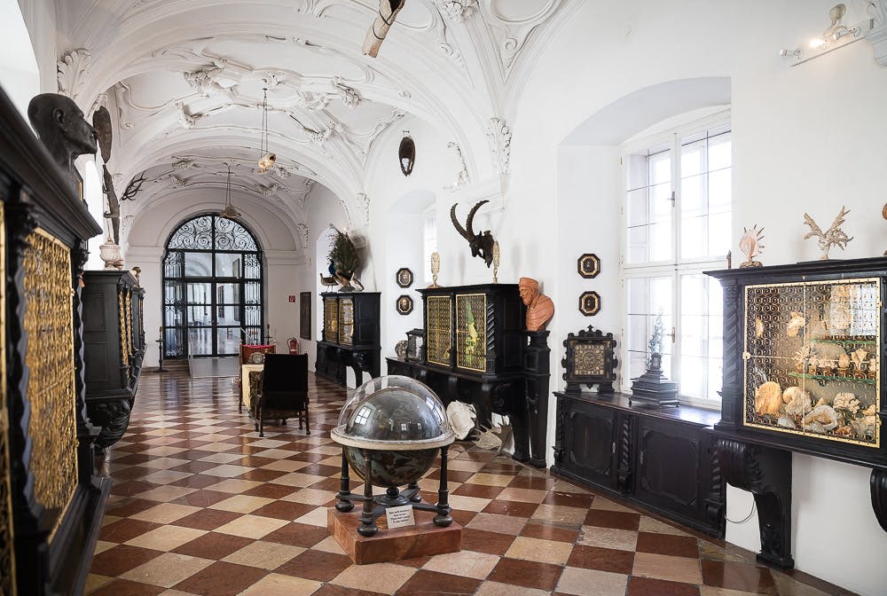 아치형 천장, 체크무늬 바닥, 화려한 수납장, 흉상, 박제술, 커다란 창문 근처의 지구본이 있는 그랜드 홀입니다.