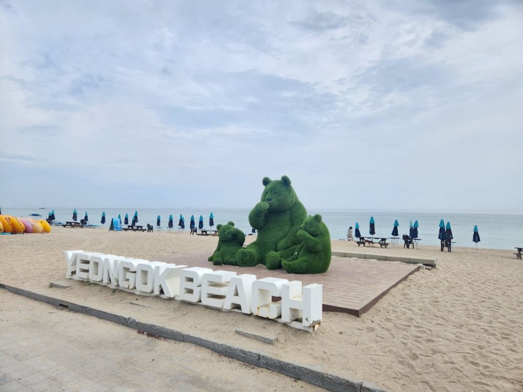 연곡 해변 솔향기 캠핑장