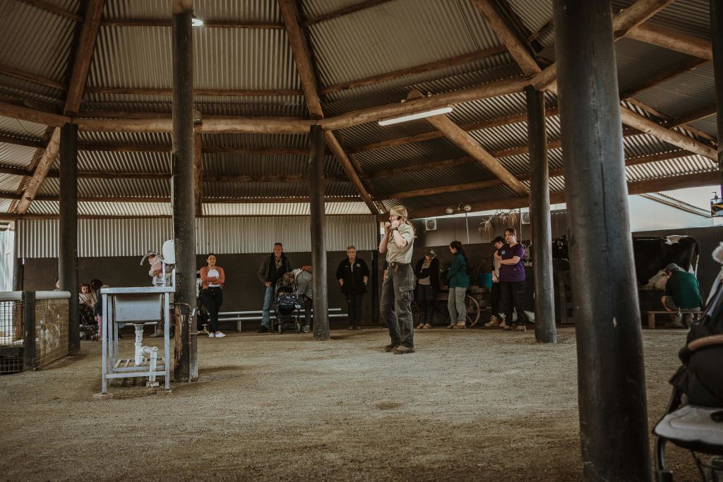 입장료에 포함된 예정된 급식 쇼를 기다리는 게스트