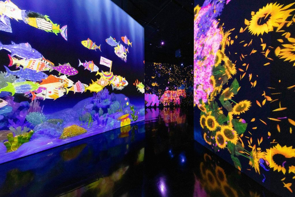 어두운 벽과 반사 바닥에 물고기, 산호, 해바라기가 다채롭게 투영된 디지털 아트 전시.