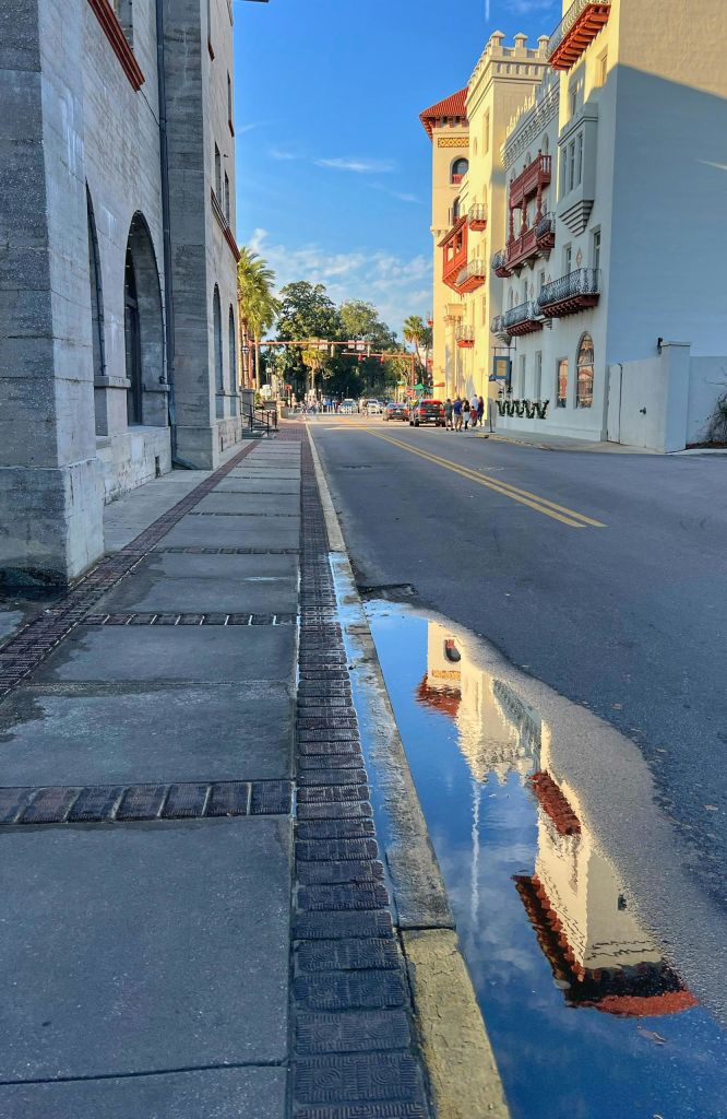 주변 건물이 반영된 웅덩이와 푸른 하늘, 인도와 야자수가 줄지어 늘어선 도시 거리.